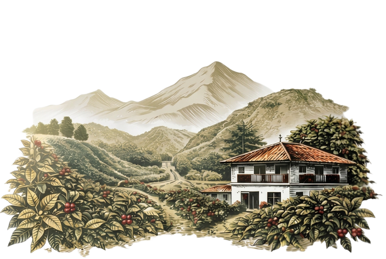 Sierra de Oro Cafe